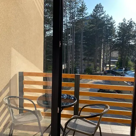 Daire Nikolic Nora Zlatibor